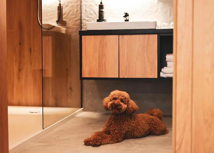 Zloty Horyzont * Szklarska Poręba